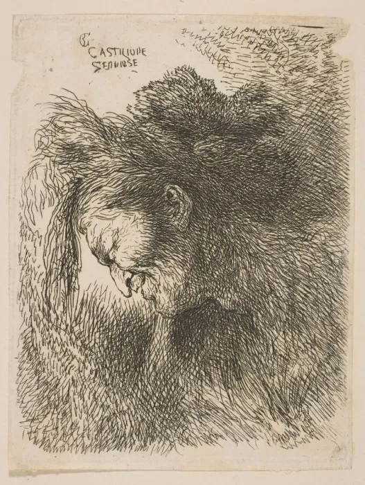 Framed Print : Head of an old man looking down, facing left, from the series Small Studies of He Framed Print : Head of an old man looking down, facing left, from the series Small Studies of He