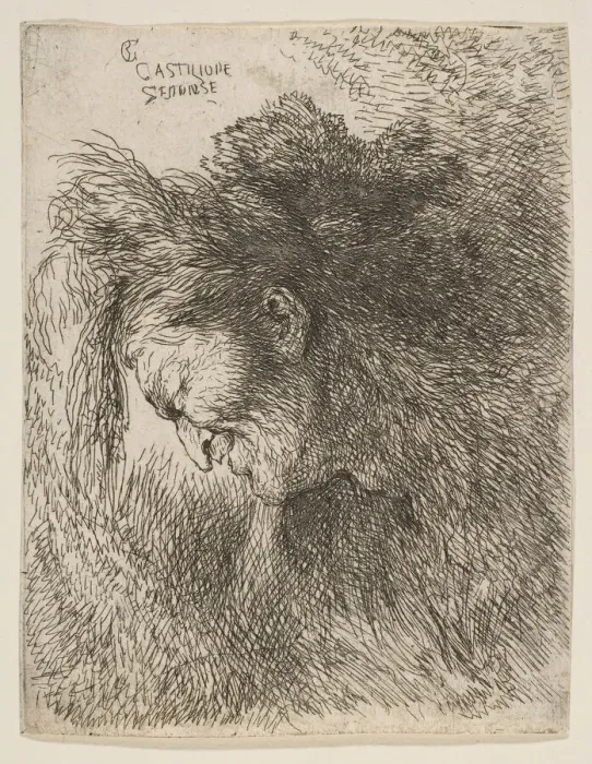 Framed Print : Head of an old man looking down, facing Left, from the series of Small Heads in... ca