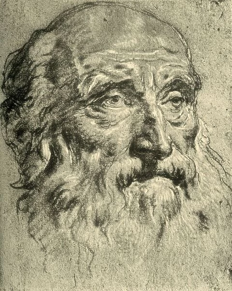 Head of an Old Man, mid 18th century, (1928). Artist: Giovanni Battista Tiepolo