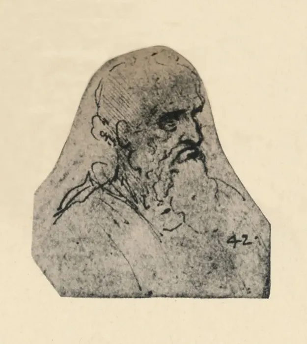 Framed Print : Head of an Old Man Turned to the Right, c1480 (1945). Artist: Leonardo da Vinci Framed Print : Head of an Old Man Turned to the Right, c1480 (1945). Artist: Leonardo da Vinci