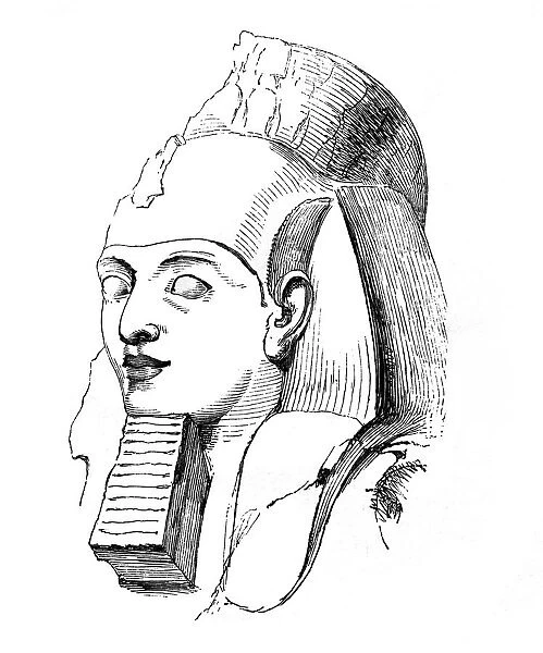 Head of Rameses, 1848