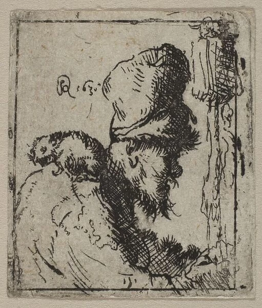 Head of a Rat Catcher, 17th century. Creator: Unknown