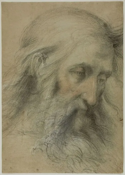 Framed Print : Head of Saint John the Evangelist: Study for the Disputation on the Immaculate... 1531 / 36. Creator: Giovanni Antonio Sogliani Framed Print : Head of Saint John the Evangelist: Study for the Disputation on the Immaculate... 1531 / 36. Creator: Giovanni Antonio Sogliani