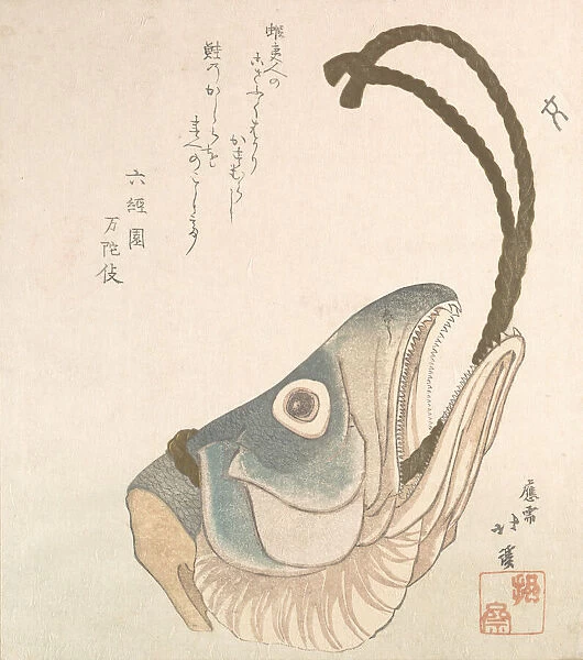 Head of a Salmon, ca. 1820. Creator: Totoya Hokkei