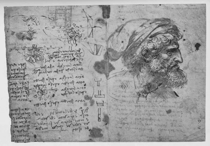 Framed Print : Head and Shoulders of a Bearded Man, c1480 (1945). Artist: Leonardo da Vinci Framed Print : Head and Shoulders of a Bearded Man, c1480 (1945). Artist: Leonardo da Vinci