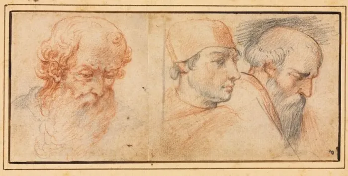 Framed Print : Three Head Studies, 1600s. Creator: Unknown Framed Print : Three Head Studies, 1600s. Creator: Unknown