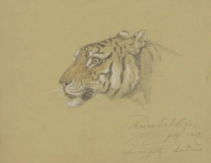 Framed Print : Head of a Tiger, 1847. Creator: Raden Saleh Framed Print : Head of a Tiger, 1847. Creator: Raden Saleh