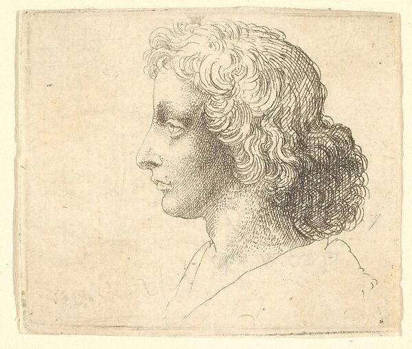 Head of young man with long hair in profile to the left, 1644-52