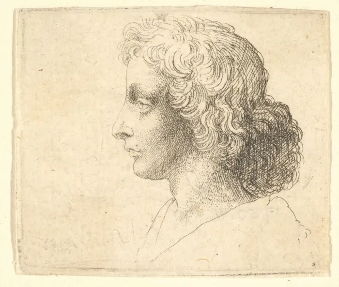 Framed Print : Head of young man with long hair in profile to the left, 1644-52 Framed Print : Head of young man with long hair in profile to the left, 1644-52