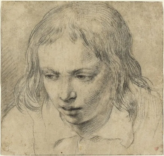 Framed Print : Head of a Young Man [recto], c. 1650. Creator: Unknown