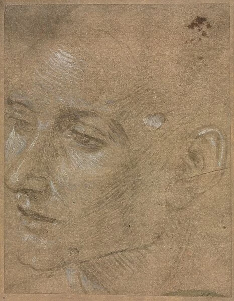 Head of a Young Man, second half 1400s. Creator: Filippino Lippi (Italian, 1457-1504)