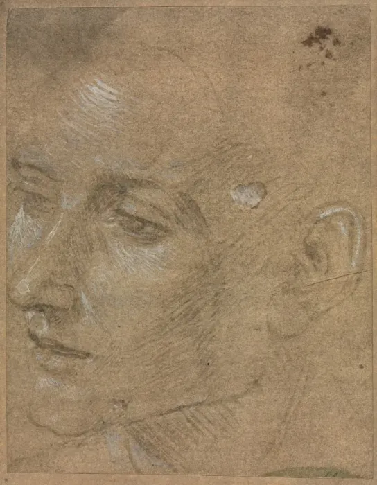 Framed Print : Head of a Young Man, second half 1400s. Creator: Filippino Lippi (Italian, 1457-1504) Framed Print : Head of a Young Man, second half 1400s. Creator: Filippino Lippi (Italian, 1457-1504)