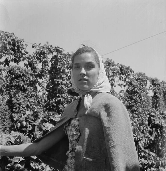 Head of young woman, migratory hop picker, near Independence, Polk County, Oregon, 1939. Creator: Dorothea Lange