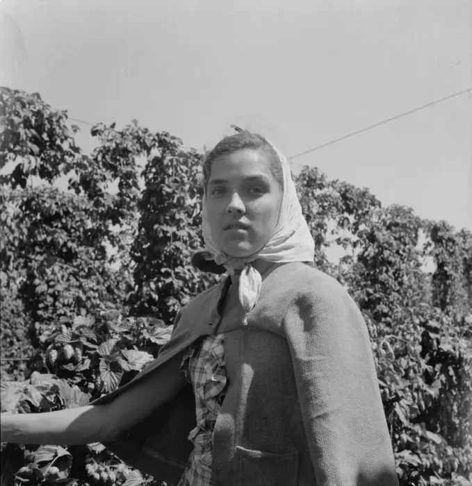 Framed Print : Head of young woman, migratory hop picker, near Independence, Polk County, Oregon, 1939. Creator: Dorothea Lange Framed Print : Head of young woman, migratory hop picker, near Independence, Polk County, Oregon, 1939. Creator: Dorothea Lange