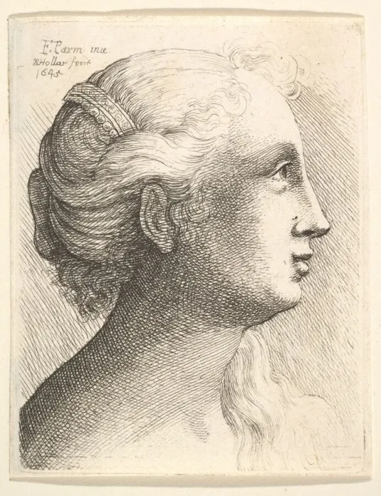 Framed Print : Head of a young woman in profile to right, 1645. Creator: Wenceslaus Hollar Framed Print : Head of a young woman in profile to right, 1645. Creator: Wenceslaus Hollar