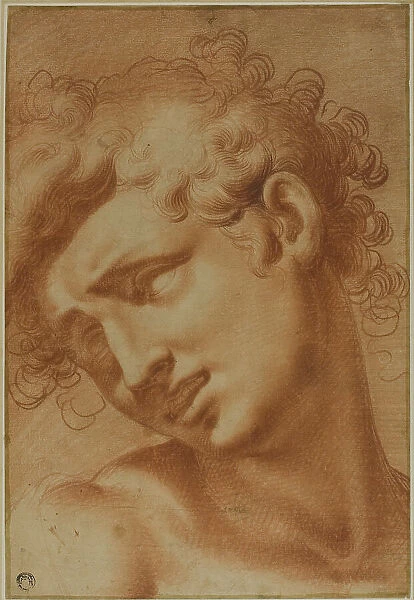 Head of a Youth, 1595 / 1605. Creator: Cristofano Roncalli