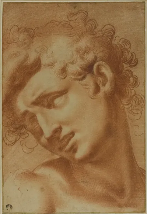 Framed Print : Head of a Youth, 1595 / 1605. Creator: Cristofano Roncalli Framed Print : Head of a Youth, 1595 / 1605. Creator: Cristofano Roncalli