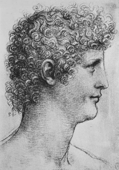 Framed Print : Head of a Youth in Profile to the Right, c1480 (1945). Artist: Leonardo da Vinci Framed Print : Head of a Youth in Profile to the Right, c1480 (1945). Artist: Leonardo da Vinci