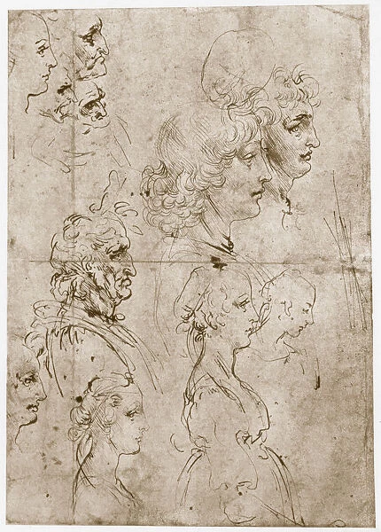 Heads of Girls, Young and Old Men, 1478-1480. Artist: Leonardo da Vinci