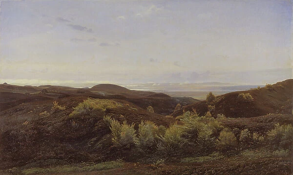 Heather Hills near Rye, Jutland, 1887. Creator: Harald Foss