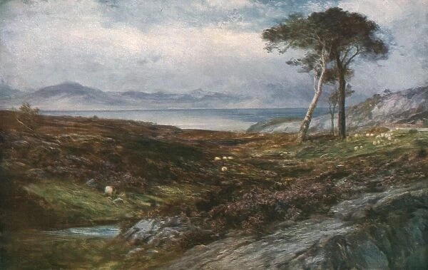 Heather: Scottish Highlands, c1910, (c1930). Creator: John MacWhirter