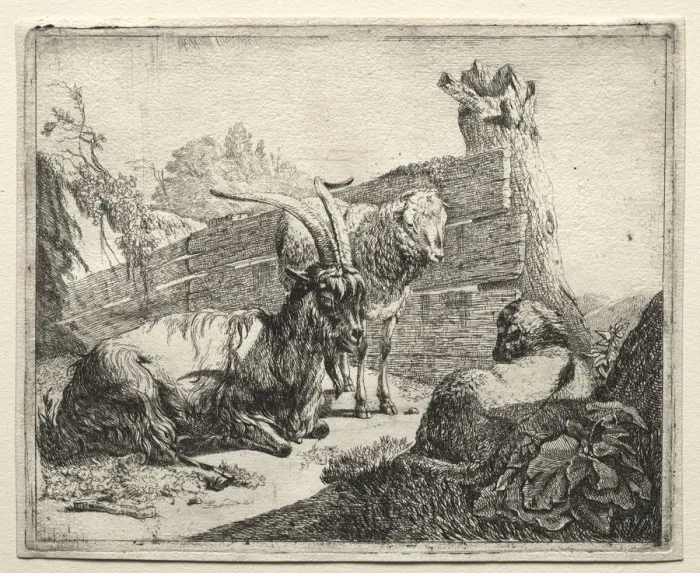 Framed Print : The Hedgerow, 1665. Creator: Johann Heinrich Roos (German, 1631-1685) Framed Print : The Hedgerow, 1665. Creator: Johann Heinrich Roos (German, 1631-1685)
