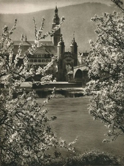 Framed Print : Heidelberg. On the old Neckar Bridge, 1931. Artist: Kurt Hielscher Framed Print : Heidelberg. On the old Neckar Bridge, 1931. Artist: Kurt Hielscher
