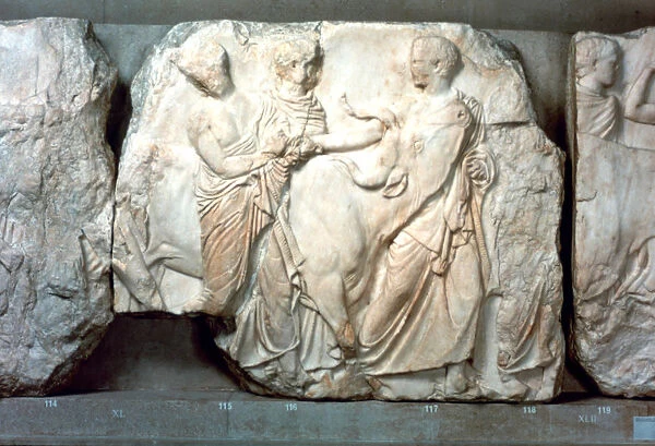 Heifers led to sacrifice, from the south frieze of the Parthenon, 447-432 BC
