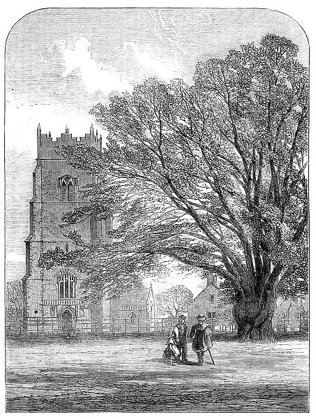 Helmingham Church, Suffolk, 1864. Creator: Unknown