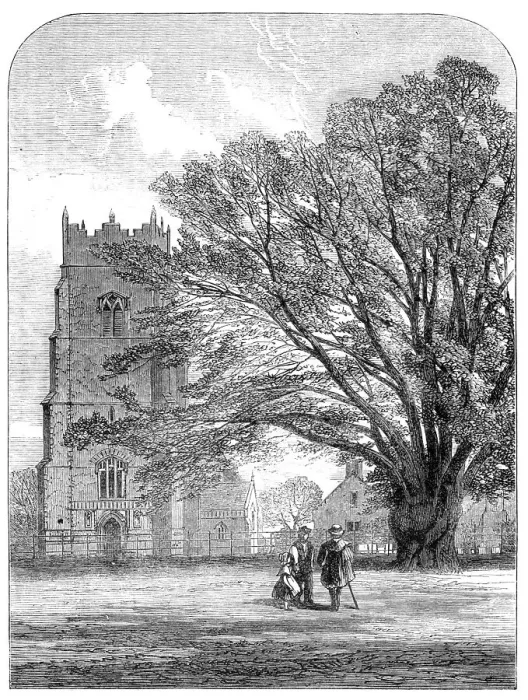 Framed Print : Helmingham Church, Suffolk, 1864. Creator: Unknown Framed Print : Helmingham Church, Suffolk, 1864. Creator: Unknown