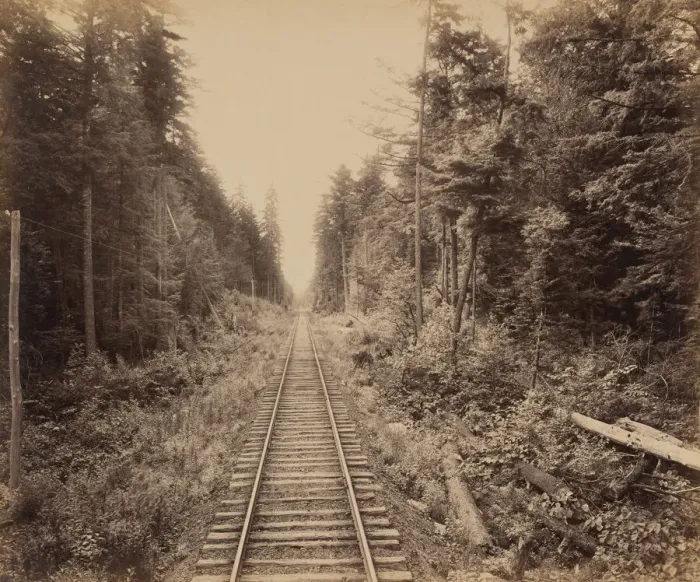 Framed Print : Hemlock Forest, c. 1895. Creator: William H Rau Framed Print : Hemlock Forest, c. 1895. Creator: William H Rau
