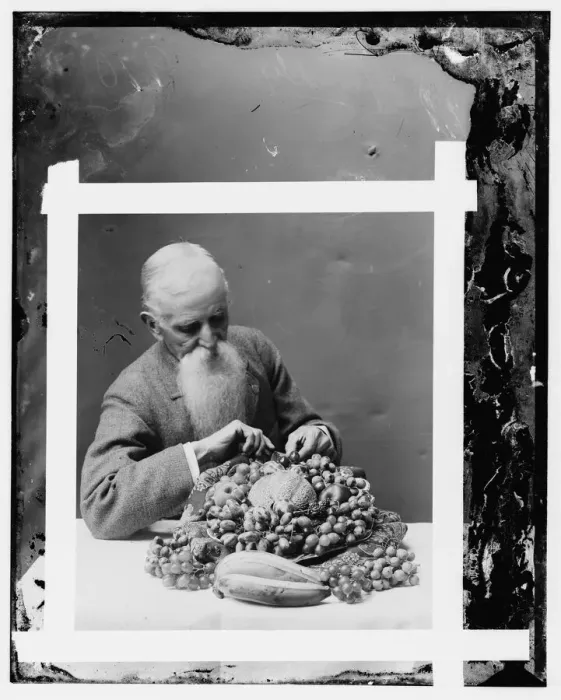 Framed Print : Hendley, John. Wax worker, Agriculture Dept. (His art died with him), between 1890 and 1910. Creator: Unknown Framed Print : Hendley, John. Wax worker, Agriculture Dept. (His art died with him), between 1890 and 1910. Creator: Unknown