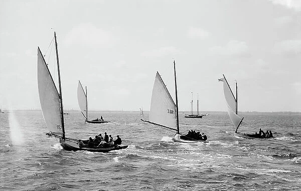 Henry Dauer, May F. and Homing, view at start, regatta, yacht racing assn. [association], 1891 Sept Creator: Johns Johnston