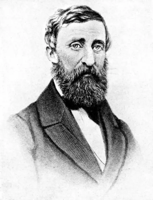 Framed Print : Henry David Thoreau, American nature writer, 1923. Artist: Rischgitz Collection Framed Print : Henry David Thoreau, American nature writer, 1923. Artist: Rischgitz Collection