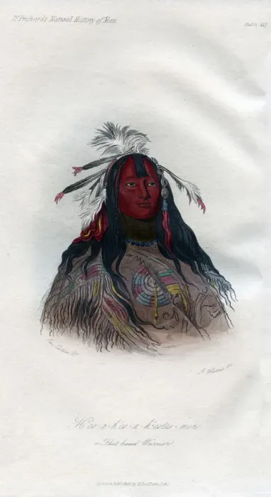 Framed Print : Heo-a-h co-a-h -cotes-min, a Flat head Warrior, 1848. Artist: Harris Framed Print : Heo-a-h co-a-h -cotes-min, a Flat head Warrior, 1848. Artist: Harris