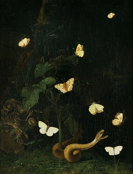 Herbs, Butterflies and a Serpent. Creator: Christian Jansz Striep