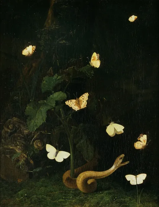 Framed Print : Herbs, Butterflies and a Serpent. Creator: Christian Jansz Striep Framed Print : Herbs, Butterflies and a Serpent. Creator: Christian Jansz Striep