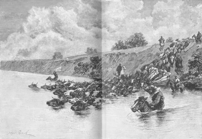 Framed Print : Herd of Cattle Crossing the Uruguay, c1885, (1890). Artist: Robert Taylor Pritchett Framed Print : Herd of Cattle Crossing the Uruguay, c1885, (1890). Artist: Robert Taylor Pritchett