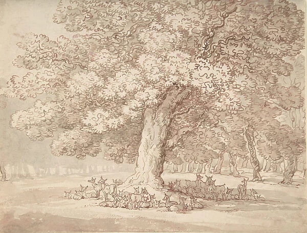 Herd of deer under an oak tree, 1775-1827. Creator: Thomas Rowlandson