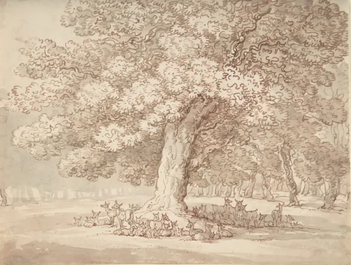 Framed Print : Herd of deer under an oak tree, 1775-1827. Creator: Thomas Rowlandson Framed Print : Herd of deer under an oak tree, 1775-1827. Creator: Thomas Rowlandson