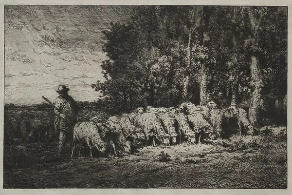 A Herd at the Edge of a Forest, 1880. Creator: Charles-Emile Jacque (French, 1813-1894)