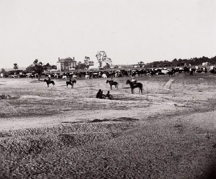 Framed Print : [Herd of Horses]. Brady album, p. 123, 1861-65. Creator: Unknown
