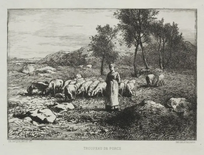 Framed Print : Herd of Swine, 1868. Creator: Charles-Emile Jacque (French, 1813-1894) Framed Print : Herd of Swine, 1868. Creator: Charles-Emile Jacque (French, 1813-1894)
