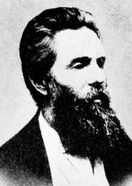 Herman Melville, American author, 19th century