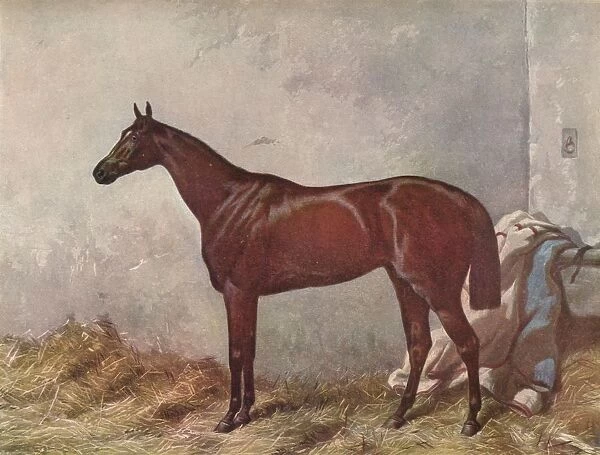 Hermit: winner of the Derby Stakes at Epsom, 1867, (1903). Artist: William Summers