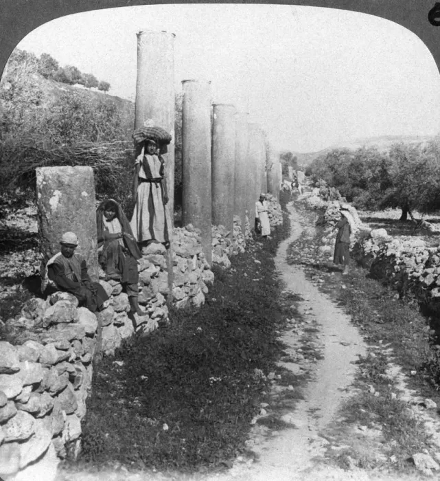 Framed Print : Herods street of columns, Samaria, Palestine (Israel), 1905. Artist: Underwood & Underwood Framed Print : Herods street of columns, Samaria, Palestine (Israel), 1905. Artist: Underwood & Underwood