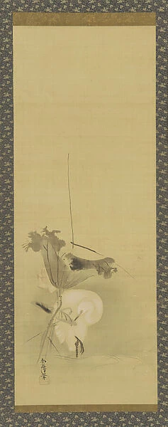 Heron and lotus, Edo period, mid 17th-early 18th century. Creator: Kano Yoboku Tsunenobu