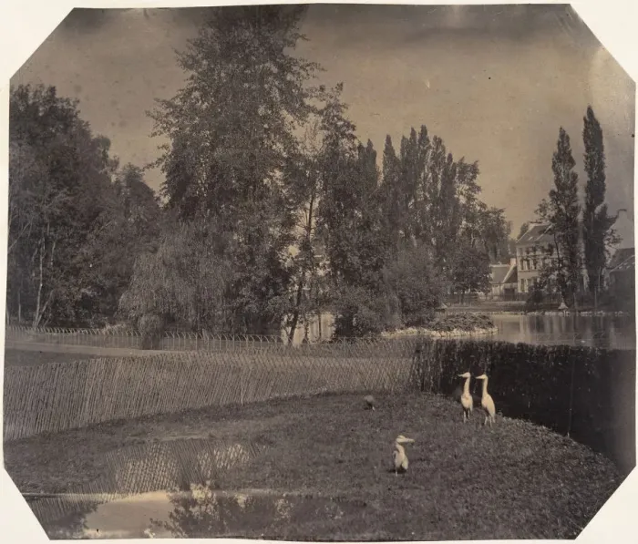 Framed Print : [Heron Pond, Zoological Gardens, Brussels], 1854-56. Creator