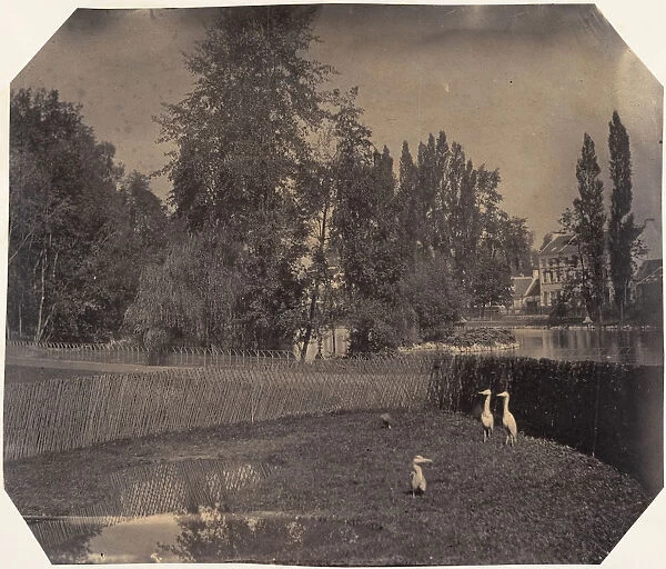 [Heron Pond, Zoological Gardens, Brussels], 1854-56. Creator