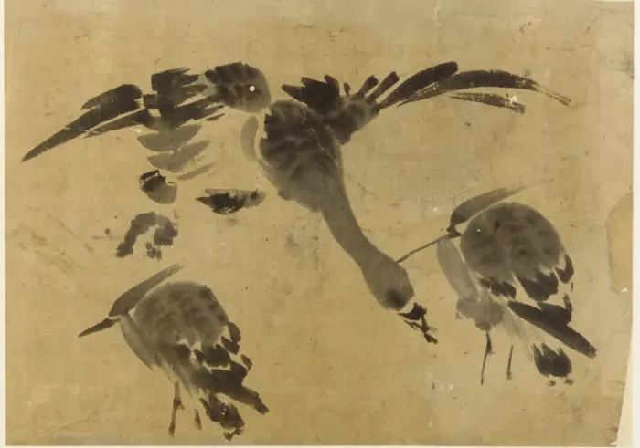 Framed Print : Two herons and a goose, Edo period, 1573-1615. Creator: Unknown Framed Print : Two herons and a goose, Edo period, 1573-1615. Creator: Unknown
